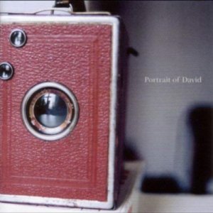 Portrait Of David – These days are hard to ignore (pop)