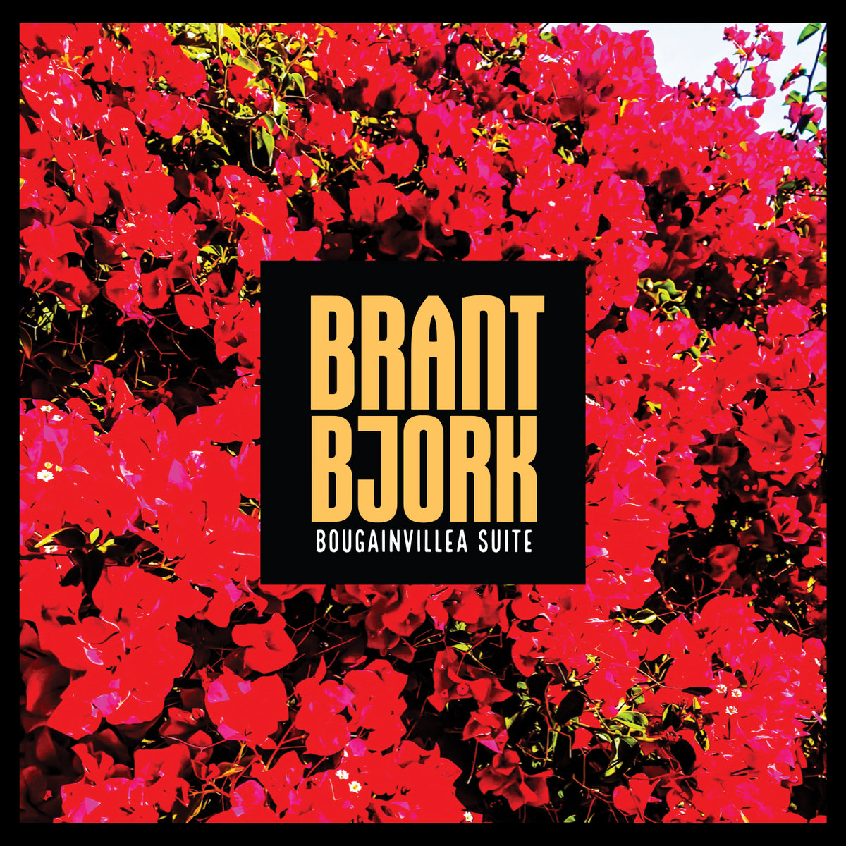 Brant Bjork – Bougainvillea Suite (rock)
