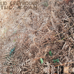 Lid Greyhound – The Foam (stoner rock) 