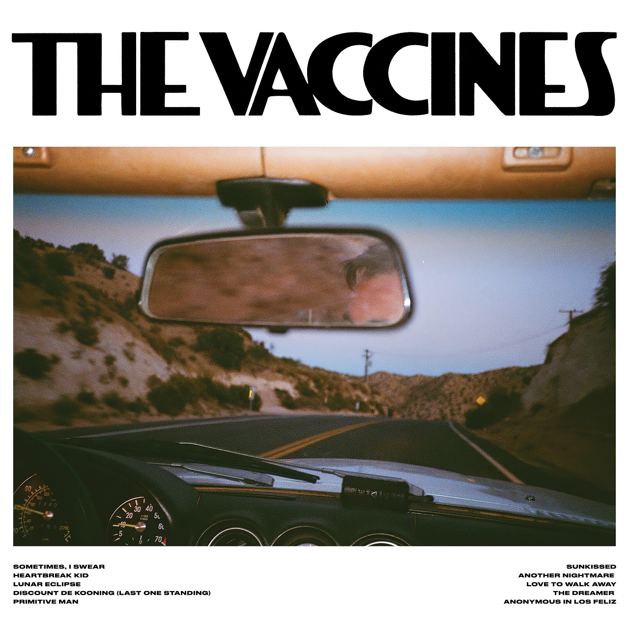 The Vaccines – Pick up full of pink carnations (rock alternatif)