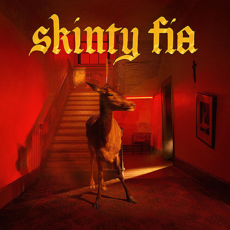 Fontaines D.C. – Skinty Fia (post punk)