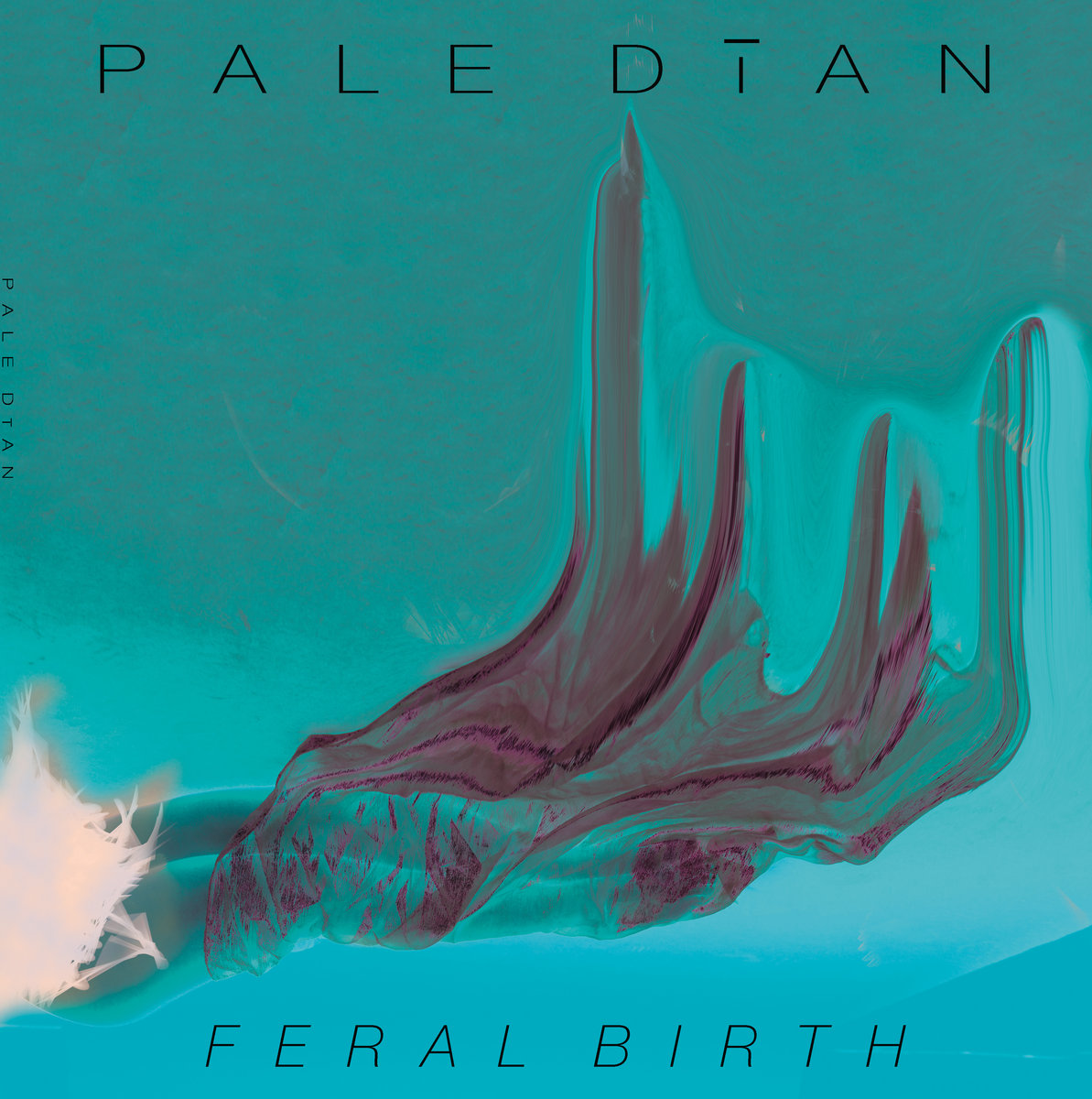 Pale Dian – Feral Birth (rock alternatif)